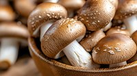 Fresh brown mushrooms with water drops in rustic wooden bowl, macro food photography showing natural texture and moisture on raw champignons.