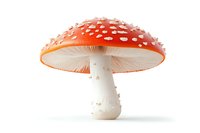 Vibrant red and white spotted amanita muscaria mushroom isolated on white background, showcasing detailed cap and stem structure.