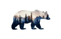 Double exposure silhouette of grizzly bear with misty mountain forest landscape inside, isolated on white background for nature art and wildlife designs.
