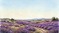 Expansive lavender field landscape with rolling hills, winding pathways, and distant mountains under soft sky, ideal for travel and nature designs.