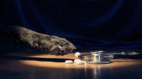 Medical stethoscope with stone and syringe on wooden surface against dark blue background, healthcare and diagnosis concept.