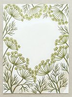 Botanical frame featuring hand-drawn fennel and dill plants with delicate umbrella-shaped flower clusters and feathery foliage on white background, isolated and ready for design use.