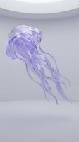 Translucent purple jellyfish with flowing tentacles floating in a soft light studio environment, perfect for marine and fantasy themed designs.