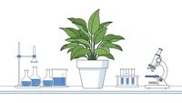 Green plant in white pot surrounded by laboratory equipment including microscope, test tubes and beakers on clean workspace for scientific research and botany studies.