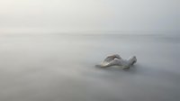 Young woman with light skin tone lying peacefully on white clouds, wearing flowing white dress, ethereal and dreamy atmosphere for wellness and meditation concepts.