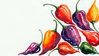 Colorful hot chili peppers in red, purple, orange and green arranged on white background. Spicy vegetables isolated for culinary design and cooking themes.