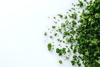 Fresh green parsley leaves scattered on white background, creating natural border composition. Organic herbs for cooking and garnishing food.