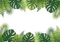 Tropical leaves frame with monstera and palm fronds creating natural border on white background for summer designs and botanical decorations.