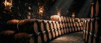 Wine barrels stacked in rows inside a dark cellar with warm golden lighting, suitable for winery, vineyard, and wine production concepts.
