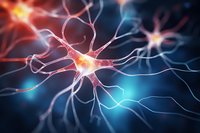 Active neuron cell network with electrical impulses, glowing synaptic connections on dark background showing neural activity and brain function in medical science.