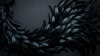 Dark feathers arranged in flowing circular pattern on black background creating dramatic texture for luxury fashion and gothic design projects.