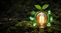 Green energy concept with glowing light bulb and plant sprout surrounded by renewable energy icons on natural soil background for sustainability projects.