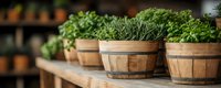 Fresh aromatic herbs growing in rustic wooden barrel planters arranged on wooden shelf, selective focus with natural bokeh background for garden and cooking.