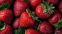Fresh ripe strawberries with green leaves in macro view showing detailed texture and natural pattern of juicy red berries for food photography.