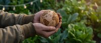 Hands of a man holding a wooden globe in a green garden, symbolizing environmental care and sustainability concept.