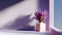 Purple heather flowers in pink ceramic pot on white windowsill with dramatic shadow play and natural sunlight creating minimalist composition.