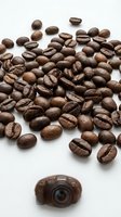 Roasted coffee beans scattered on white background with small camera, perfect for cafe branding, beverage marketing and culinary photography projects.