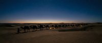 Camel caravan silhouettes crossing desert dunes at twilight with dramatic gradient sky from blue to orange creating atmospheric travel scene.