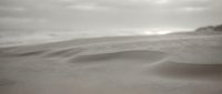 Minimalist desert sand dunes landscape with soft rolling hills under cloudy sky in monochrome sepia tones creating serene natural environment.