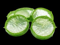 Fresh lime slices isolated on transparent background, ready for t-shirt designs, clipart, stickers, print-on-demand products, and sublimation projects.