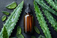 Fresh aloe vera leaves with water drops and amber glass dropper bottle on dark stone background, natural skincare and wellness concept.