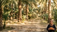 Middle-aged woman wearing black hijab and orange patterned clothing standing in palm tree plantation pathway during daytime, suitable for cultural diversity, travel, agriculture, and lifestyle editorial use.