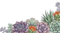 Colorful succulent plants arrangement with copy space for text and design projects on clean white background.
