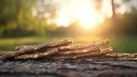 Stack of dry wooden sticks and branches on forest ground at sunset with golden sunlight and bokeh background, nature composition for outdoor themes.
