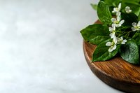 Fresh orange blossom flowers with green leaves on wooden plate against white marble background, aromatic citrus plant for culinary and spa designs.