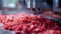 Industrial meat grinder processing fresh raw ground beef in commercial food production facility with stainless steel equipment and red meat texture.