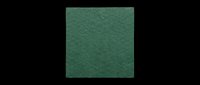 Solid dark green square texture isolated on transparent background, ready for design use in t-shirts, clipart, stickers, print-on-demand products, sublimation, and digital crafts.