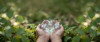 Cupped hands holding clear water droplets in natural forest setting with green foliage and soft sunlight filtering through trees creating peaceful atmosphere.
