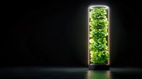Vertical garden tower with lush green plants and LED lighting system against dark background, suitable for interior design and sustainable living concepts.