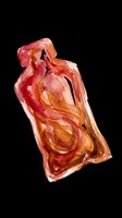 Watercolor sauce packet in red and orange tones, isolated on transparent background. Ready for clipart, print-on-demand products, t-shirt designs, stickers, and sublimation projects.