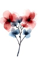 Delicate watercolor flowers in coral pink and dusty blue tones on white background, featuring translucent petals and graceful stems for wall art and stationery design.