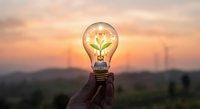 Hand holding glowing light bulb with green plant inside against sunset sky with wind turbines, symbolizing renewable energy and eco innovation.