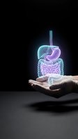 Holographic human digestive system floating above open palm with glowing organs including stomach liver intestines for medical education and healthcare concepts.