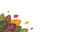 Autumn leaves in warm colors scattered on white background with copy space for seasonal designs and fall marketing materials.