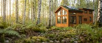 Tiny wooden cabin nestled in birch forest with moss-covered ground, surrounded by tall trees and natural woodland landscape for eco-tourism and sustainable living concepts.