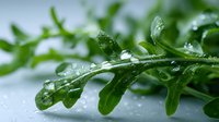 Fresh green arugula leaves with water droplets on white surface for healthy cooking and salad preparation in kitchen setting.
