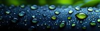 Water drops on dark surface with green reflections create dramatic macro photography composition showing surface tension and natural patterns in morning light.