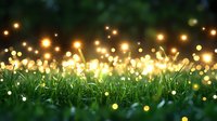 Magical glowing lights and bokeh effects illuminate fresh green grass at dusk creating dreamy atmosphere for garden party or wedding decoration background.