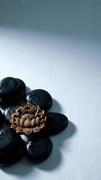 Polished black stones arranged around ornate bronze lotus flower charm on soft blue-gray background, symbolizing wellness, meditation, and spiritual balance for mindfulness design projects.
