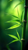 Fresh bamboo stalk with young green leaves against soft blurred background in vibrant green tones, creating zen-like atmosphere for wellness concepts.