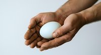 Male hands with medium brown skin tone holding a white egg against neutral background, representing care, fragility, and responsibility.