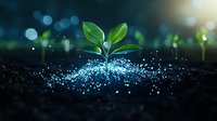 Young green plant seedling growing from soil with magical glowing blue particles, symbolizing growth, innovation and environmental sustainability in dark background.