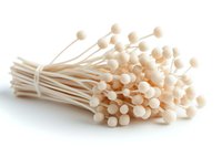 Fresh enoki mushrooms bunch with long white stems and small round caps on white background, raw organic Japanese fungi for cooking.