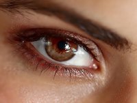 Close-up of brown eye with copper-toned eyeshadow and defined eyebrow, showcasing natural beauty in macro photography.