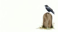 Black crow perched on weathered wooden post with grass and moss, isolated on white background for design, clipart, and creative projects.