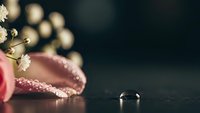 Elegant wedding rings with pink rose and pearl necklace on dark surface creating romantic bridal jewelry composition for luxury ceremony preparations.